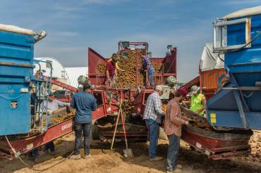 Christensen Harvest