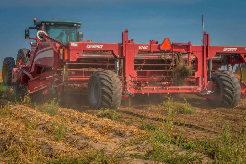 Christensen Harvest