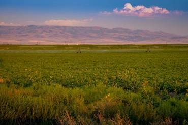 County Line Road