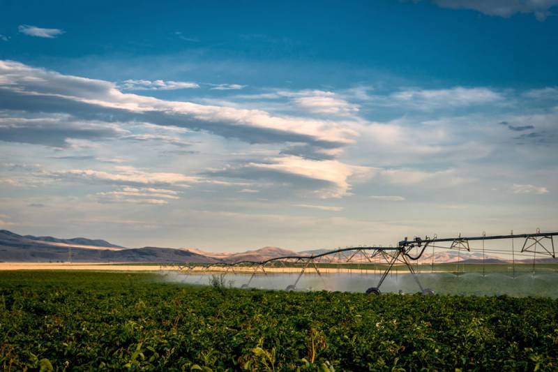 Christensen Potato Field