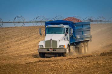 Gehring Harvest