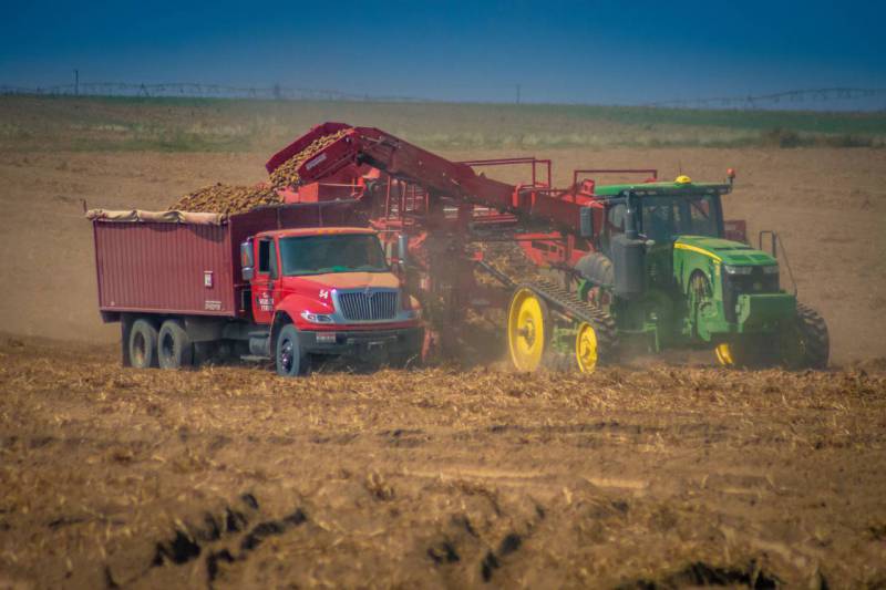 Kim Wahlen Harvest