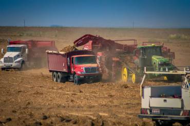 Kim Wahlen Harvest