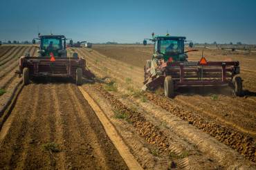 Val Wahlen Harvest