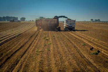 Val Wahlen Harvest